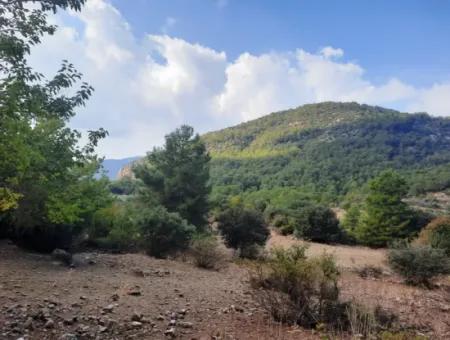 Mugla Dalyan Gökbel 320 M2 Bargain Land For Sale