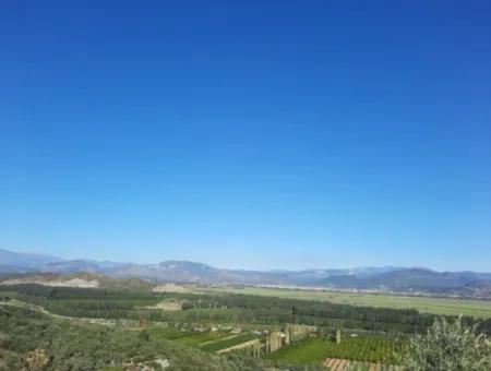 Olive Grove With Sea And Nature View In Ortaca Fevziye For Sale