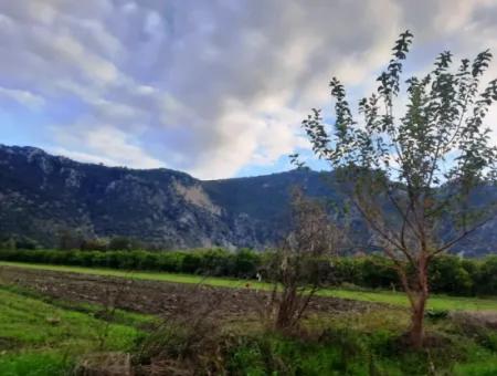 Mugla Dalyan 1100 M2 Land With Bargain Shares Suitable For Investment For Sale