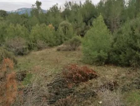 30949 M2 Fertile Field For Sale In Mugla Dalaman Gürleyik