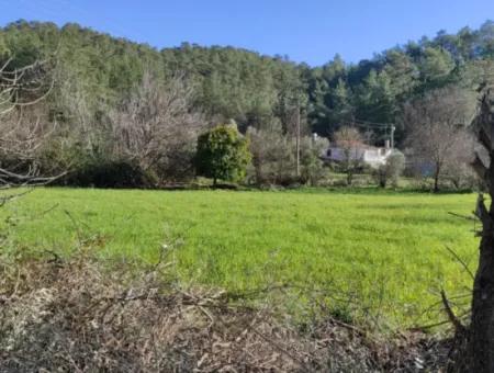 Mugla Ula Karabörtlen 2956 M2 Detached Land For Sale