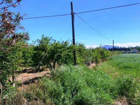 17 500 M2 Land In The Village Built-In Area For Sale In Ortaca Fevziye