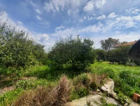 1703 M2 % 30/60 Zoning Land For Sale In Mugla Ortaca Center