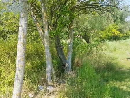 3700 M2 Land For Sale In Koycegiz