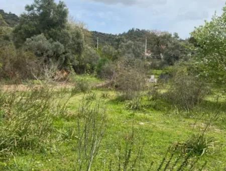 541 M2 Detached Land For Sale In Çandır, Muğla Köyceğiz