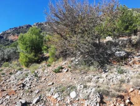 Muğla Ortaca Dalyan Gökbelde 3 100 M2 2B Land Property Right Will Be Transferred