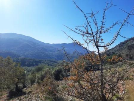 Muğla Ortaca Dalyan Gökbelde 3 100 M2 2B Land Property Right Will Be Transferred