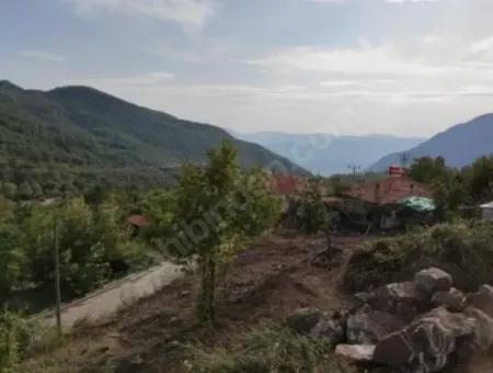 Muğla Köyceğiz Yayla Mah 570 M2 Land For Sale