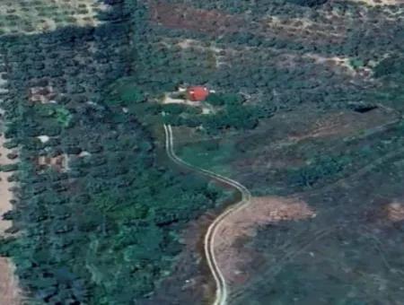 6350 M2 Field For Sale In Muğla Menteşe Kafaca
