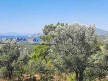 1.361 M² Investment Land With Lake And Sea View For Sale In Muğla Ortaca Gökbel