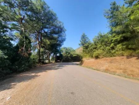 16.373 M2 Fertile Land For Sale In Muğla Ortaca Ekşiliyurt