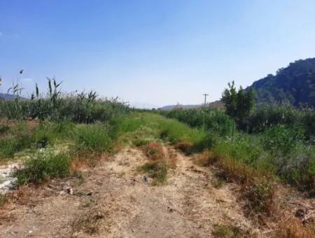 14300 M2 Land Suitable For Investment For Sale In Muğla Ortaca Sarıgerme