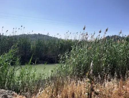 14300 M2 Land Suitable For Investment For Sale In Muğla Ortaca Sarıgerme