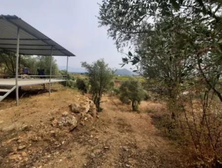 2 500 M2 Treasury Land In Eskiköy Possession Right Will Be Transferred Or Vehicle Exchanged