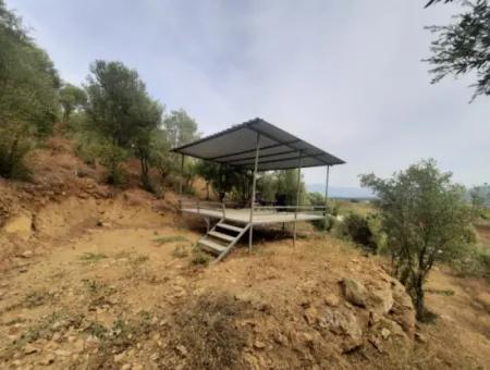 2 500 M2 Treasury Land In Eskiköy Possession Right Will Be Transferred Or Vehicle Exchanged