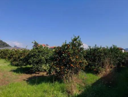 722 M2 Zoned Detached Land For Sale In Dalyan, Muğla