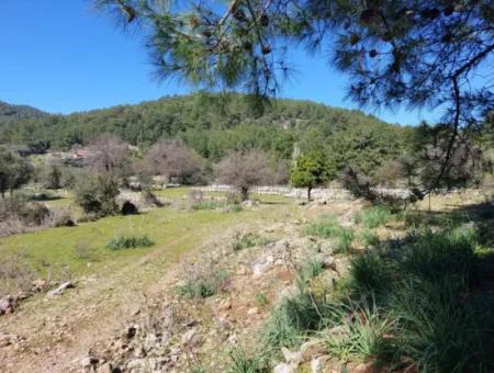 2 400 M2 Field For Sale In Muğla Ortaca Gökbelde Nature