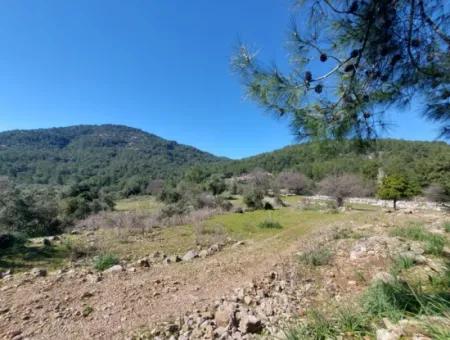 2 400 M2 Field For Sale In Muğla Ortaca Gökbelde Nature