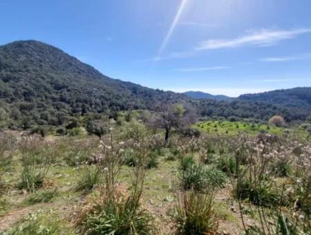 Ortaca Gökbelde Detached 12 132M2 Bargain Land In Nature For Sale