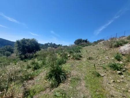 Ortaca Gökbelde Detached 12 132M2 Bargain Land In Nature For Sale