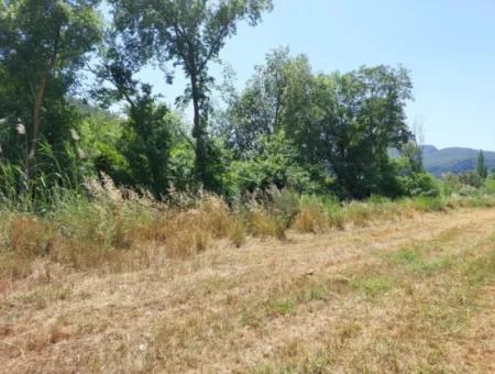 750 M2 Share Of 5 200 M2 Land In Ortaca Kemaliye Is For Sale