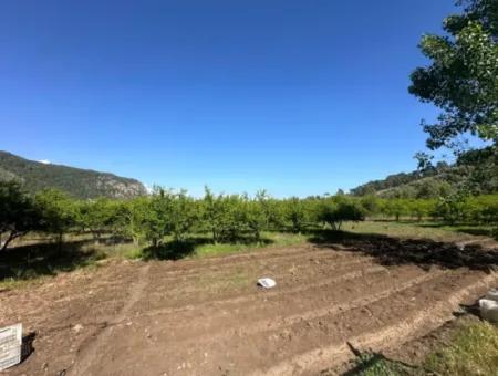 1700 M2 Plot Of Land For Sale In Ortaca Mergenli