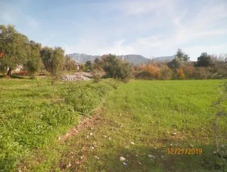 Land For Sale In Bargain Detached Zeytinalani