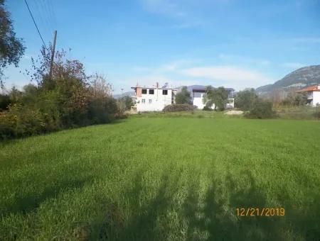 Land For Sale In Bargain Detached Zeytinalani