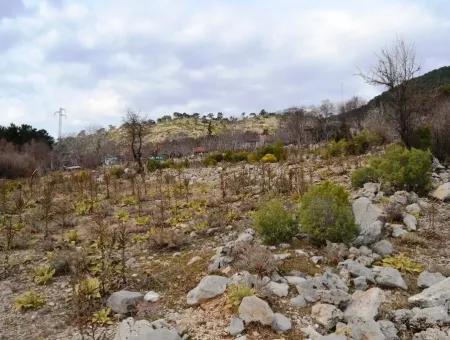 For Sale Bargain Land In Fethiye Ta Sty