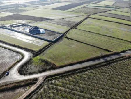 Fields Suitable For Cooperative In Ortaca Güzelyurt Are For Sale