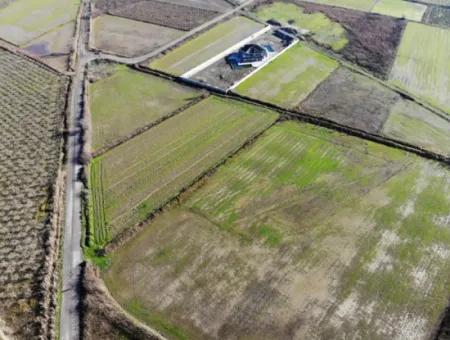 Fields Suitable For Cooperative In Ortaca Güzelyurt Are For Sale