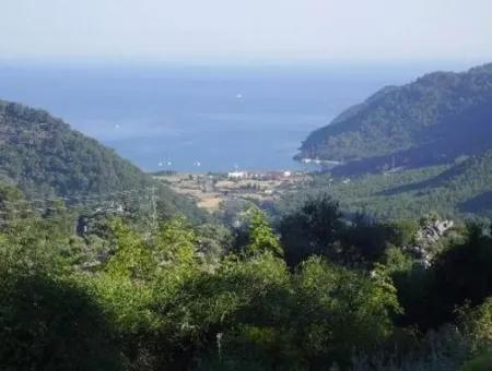 12.926 N2 Sea View Land For Sale In Köyceğiz Ekincik