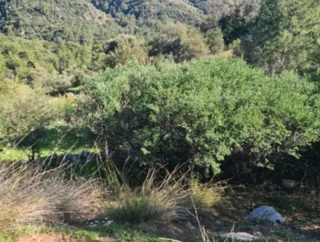 Fethiye İnlice 3 970 M2 Detached Land For Sale