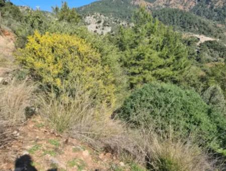 Fethiye İnlicede Sea View 3 970 M2 Detached Land For Sale