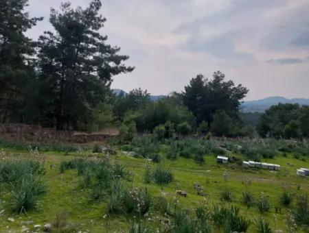 3.500 M2 Detached Land With Sea View For Sale In Dalaman Gürköy