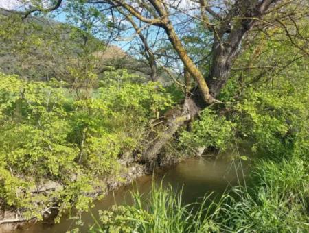 In Muğla Ortaca Eskiköy, 12.805 M2 Of Land With A Share Is For Sale.