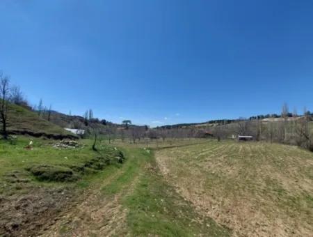 650 M2 Zoned Lands For Sale In Çameli Cevizli
