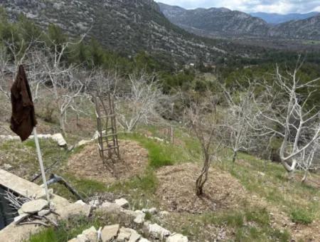 Antalya Akseki Çimiköy 9 400 M2 Detached Bargain Walnut Orchard For Sale Or Exchange