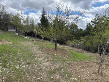 Antalya Akseki Çimiköy 9 400 M2 Detached Bargain Walnut Orchard For Sale Or Exchange