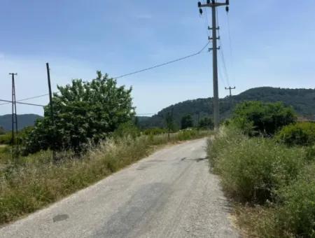 13 500 M2 Field For Sale In Ortaca Mergenli
