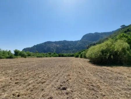 Bargain Land Suitable For Investment In 7.750 M2 Zoning Plan In Muğla Marmarlı For Sale
