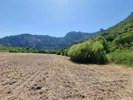 Bargain Land Suitable For Investment In 7.750 M2 Zoning Plan In Muğla Marmarlı For Sale
