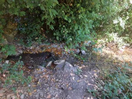Bargain Land Suitable For Investment In 7.750 M2 Zoning Plan In Muğla Marmarlı For Sale
