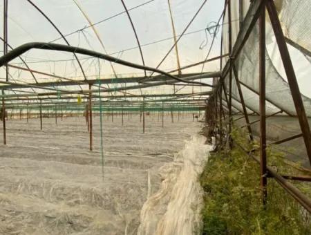 Detached House And Greenhouse For Sale In 5200 M2 Field In Ortaca Eskiköy