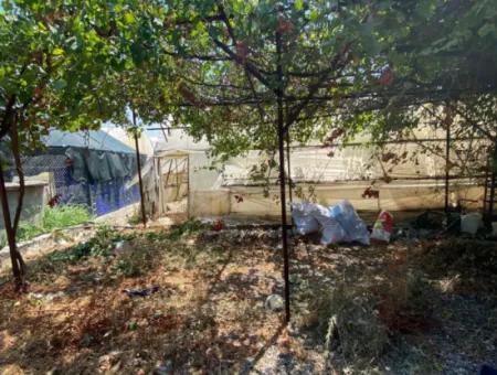 Detached House And Greenhouse For Sale In 5200 M2 Field In Ortaca Eskiköy