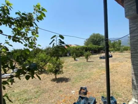 Detached House And Greenhouse For Sale In 5200 M2 Field In Ortaca Eskiköy