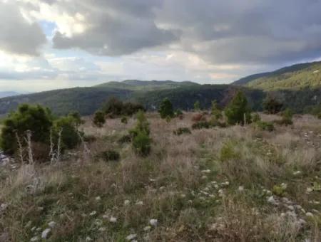 11.600 M² Flat Bargain Land For Sale In Muğla Milas Densityoluk