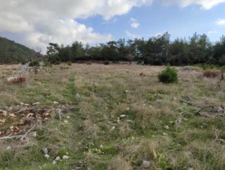 11.600 M² Flat Bargain Land For Sale In Muğla Milas Densityoluk
