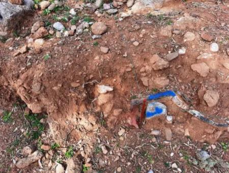 The Right Of Possession Of 3 100 M2 Treasury Land In Muğla Ortaca Dalyan Gökbel Will Be Transferred