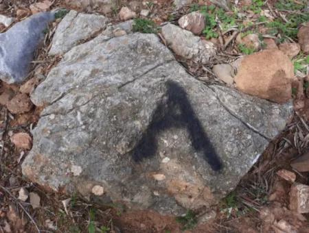 The Right Of Possession Of 3 100 M2 Treasury Land In Muğla Ortaca Dalyan Gökbel Will Be Transferred